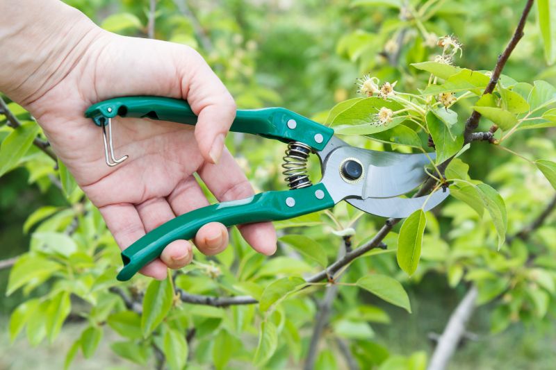 Pruning Tools in Use